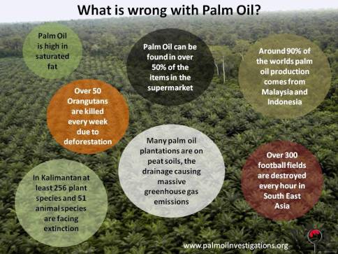 environmental-deforestation-whats-wrong-with-palm-oil